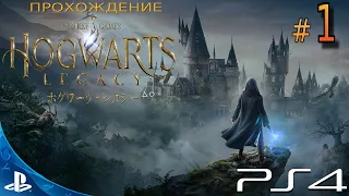 [PS4 Pro] Hogwarts Legacy - Stream Прохождение # 1