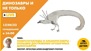 Занятие "Компсогнатиды и альваресзавры — большие достижения крошечных динозавров" // Ярослав Попов