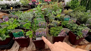 Planting a Vertical Herb Garden (+ Shopping for the Herbs)! 🌿🥰🪴 // Garden Answer
