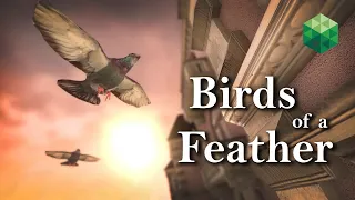 Birds of a Feather (a love story) Animation | Greenworks