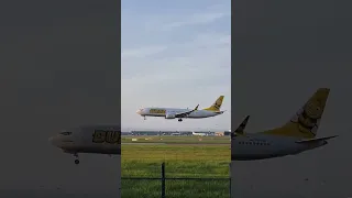 Buzz Boeing 737 MAX 8-200