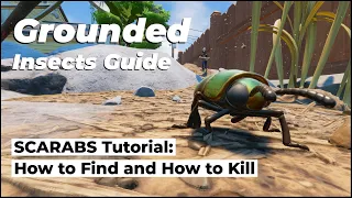 Grounded: How to Find and Kill Scarabs, the Most Important Insect of the 0.12 Update