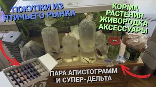 ПОКУПКИ ИЗ ПТИЧЬЕГО РЫНКА САДОВОДА МОСКВА (ВЕСНА 2023) l РАСТЕНИЯ, КОРМ, КУЧА ЖИВОРОДКИ, АКСЕССУАРЫ