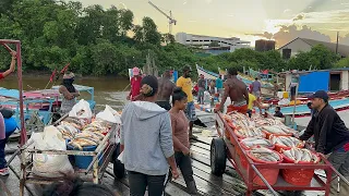 GUYANA LARGEST FISH MARKET