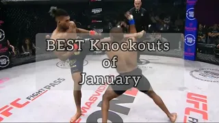 MMA & BOXING knockouts | Best of January 2022