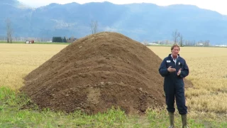 Chicken Manure: Application and Sources