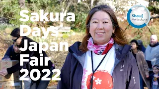 Sakura Days Japan Fair 2022 at VanDusen Gardens with Emily Wu