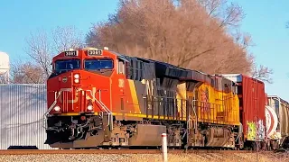 Discovering Canadian National Trains in Plainfield