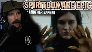 Spiritbox - Rotoscope | RichoPOV Reacts