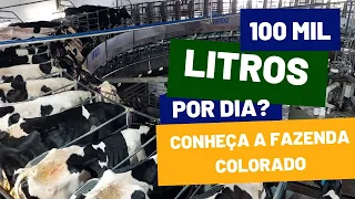 100 mil litros por dia? Conheça a Fazenda Colorado, maior produtora de leite do Brasil