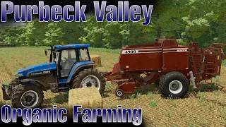 Hesston Too Much? | Purbeck Valley Organic Farming | Farming Simulator 22 | Ep 6