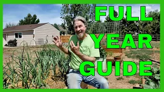 How to Grow Garlic - COMPLETE GUIDE (Planting to Harvest)
