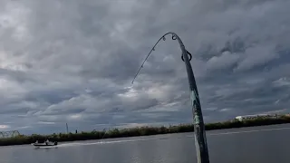 Drifting The Jig, Blue Catfish And Redfish