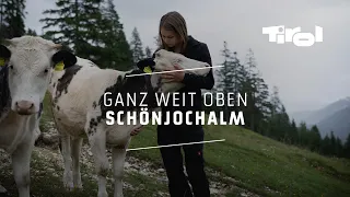 Schönjochalm: Tradition trifft auf moderne Landwirtschaft