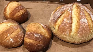 Artisan Bread in 5 min a day (Dry Yeast)