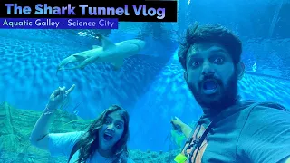 THE SHARK TUNNEL | AQUATIC GALLERY SCIENCE CITY AHMEDABAD Vlog
