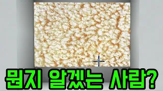 이 사진을 보고 아이템을 맞히시오(마인크래프트)