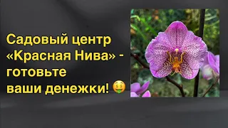 Садовый центр «Красная Нива» - едем за орхидеями! 🔥🌸