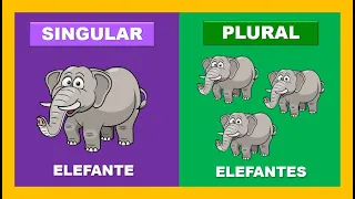 Número do Substantivo: Singular e plural