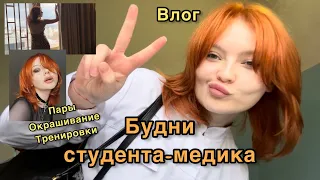 Будни студента-медика: новый цикл/ 4 курс/ спорт/ отсылка на Уизли???