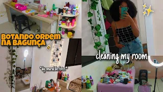 limpando e organizando a bagunça do meu quarto ✨ (cleaning my room)