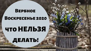 Вербное воскресение 2020. Что НЕЛЬЗЯ делать! Советы от Елена Саламандра