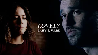 Lovely | Daisy & Ward