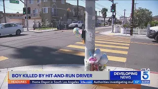 Hit-and-run driver wanted after killing 5-year-old boy