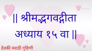 श्रीमद् भगवद्गीता अध्याय १५ वा // Bhagvad Gita Chapter 15 // Bhagwat Geeta adhyay 15 va
