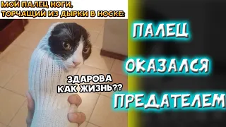 ЛЮТЫЕ ПРИКОЛЫ / ШОК! ЧТО С НИМ СТАЛО! / УГАРНЫЕ МЕМЫ