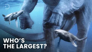 Largest Creatures To Ever Exist On Earth. Size Comparison (PART 1)