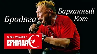 Бродяга Барханный Кот