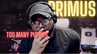 First Time Hearing Primus - Too Many Puppies