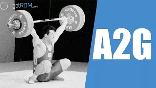 ASS TO GRASS SQUATS, BUTT WINK AND LOWER BACK PAIN