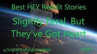 Best HFY Reddit Stories: Slightly Feral, But They've Got Heart (r/HFY)