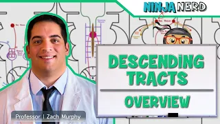 Neurology | Descending Tracts: Overview