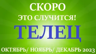 ТЕЛЕЦ♉ ОКТЯБРЬ, НОЯБРЬ, ДЕКАБРЬ 2023😊четвёртый триместр года/ главные события периода! Таро расклад