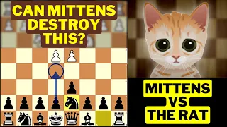 Can Mittens Beat Our Rat Defense Repertoire!!!