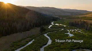The Tribasin Divide