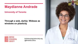 Ecology Live with Maydianne Andrade. Through a web, darkly: Widows as windows on plasticity