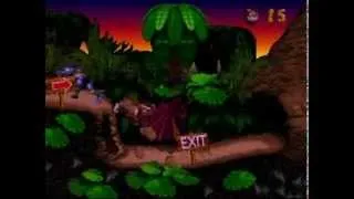 Donkey Kong Country 101% Speedrun - 43 minutes