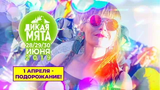 Дикая Мята 2019 | Подорожание 1 апреля, 6+