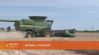 Жнива у розпалі: аграрії Криворізького району збирають ранні зернові