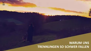 Warum Trennungen so schwer fallen // Podcast # 75