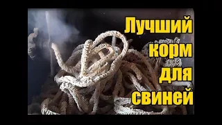 Выращивание свиней / Кормовой экструдер /Самый лучший корм для свиней