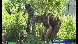 Останки советского солдата на приусадебном участке