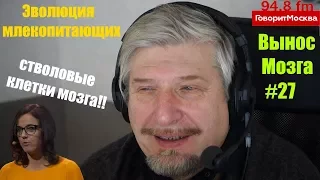 Сергей Савельев. Эволюция млекопитающих (Вынос мозга #27)