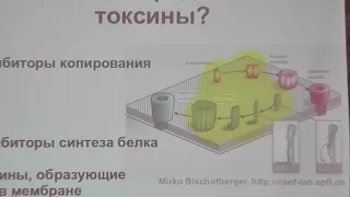 33 Плазмиды, или Токсин и антитоксин