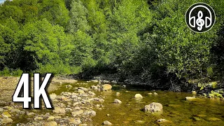 Звуки природи. Шум гірської річки з пташиним співом. 10 годин у 4K.