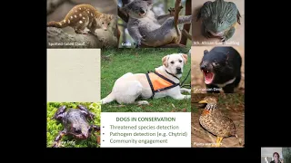 The Science of Conservation Detection Dogs -Chris Hartnett -Zoos Vic